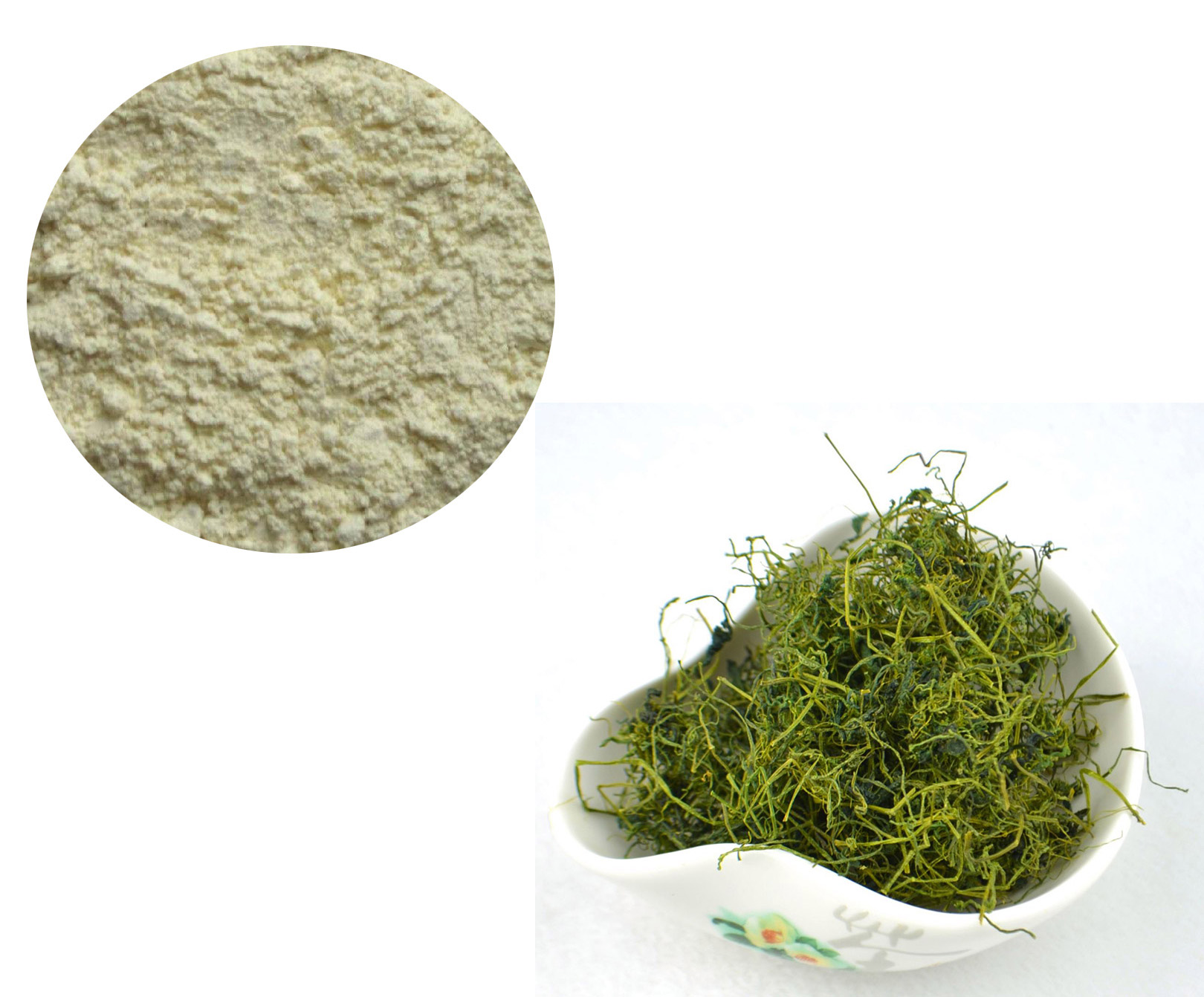 GYNOSTEMMA PLANT EXTRACT；GYPENOSIDES 