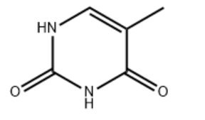 Thymine