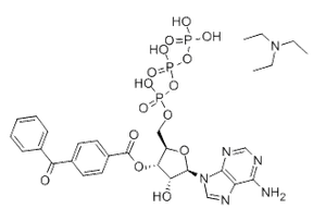 2'(3')-O-(4-Benzoylbenzoyl)adenosine 5'-triphosphate triethylammonium salt >