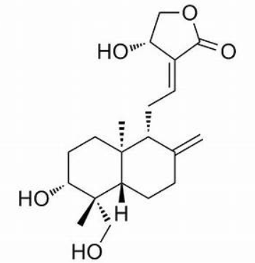 Andrographolide