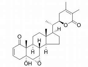 Ashwagandha Extract