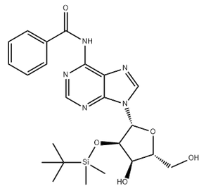 N6-benzoyl-2'-O-(tert-butyldiMethylsilyl)adenosine