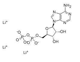 Adenosine-5'-diphosphate trilithium salt