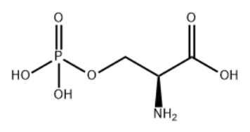 O-Phospho-L-serine