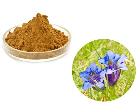 Gentiopicroside; Gentiana scabra Bunge extract