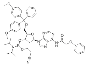 5'-O-DMT-N6-Phenoxyacetyl-2'-deoxyadenosine 3'-CE phosphoramidite