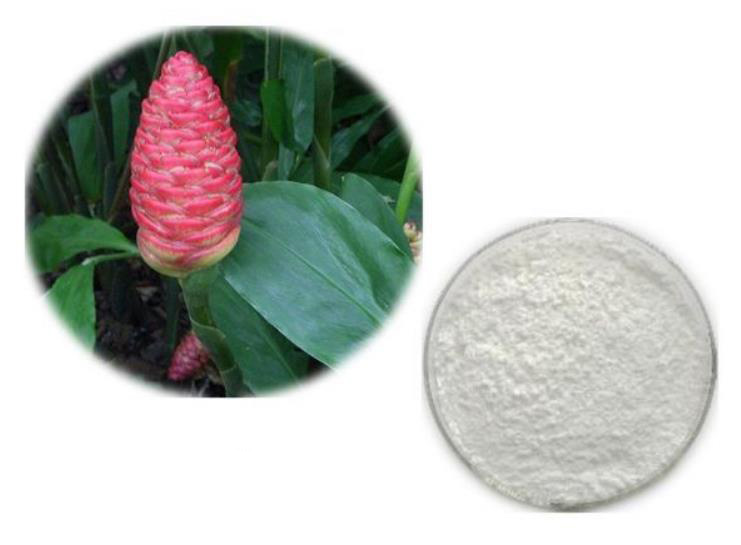 Zerumbone; Zingiber zerumbe extract