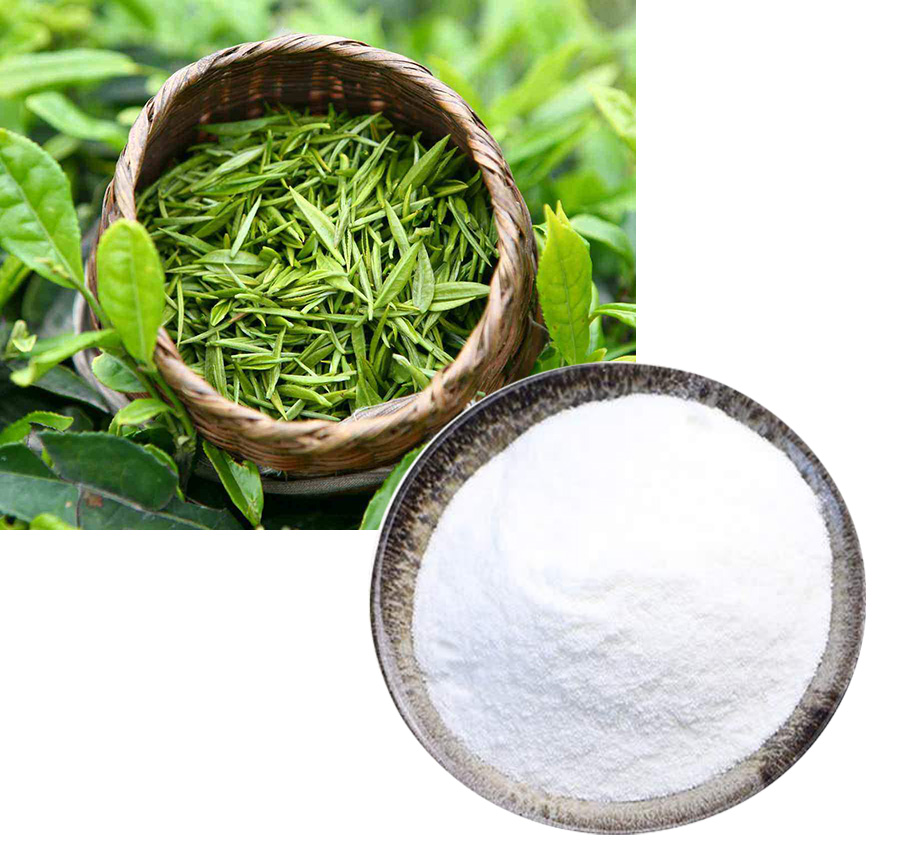 L-Epicatechin; Green tea extract