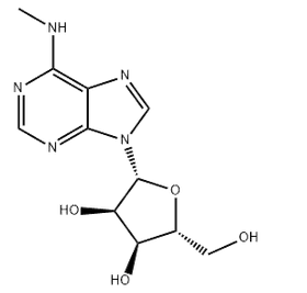 6-METHYLAMINOPURINE 9-RIBOFURANOSIDE