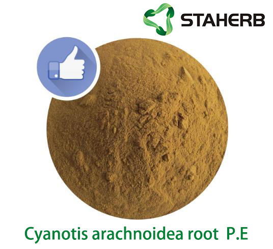 Cyanotis arachnoidea root  P.E