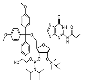  5'-DMT-2'-TBDMS-N2-ibu-rG phosphoramidite