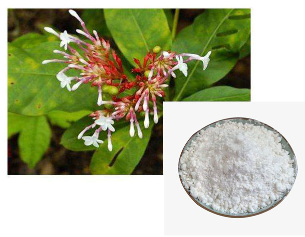 Reserpine; Rauwolfia extract