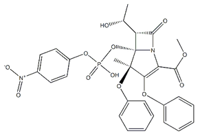 Proteinase K