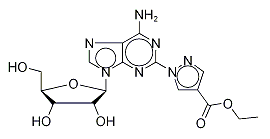 1-(6-Amino-9-β-D-ribofuranosyl-9H-purin-2-yl)-1H-pyrazole-4-carboxylicAcidEthylEster