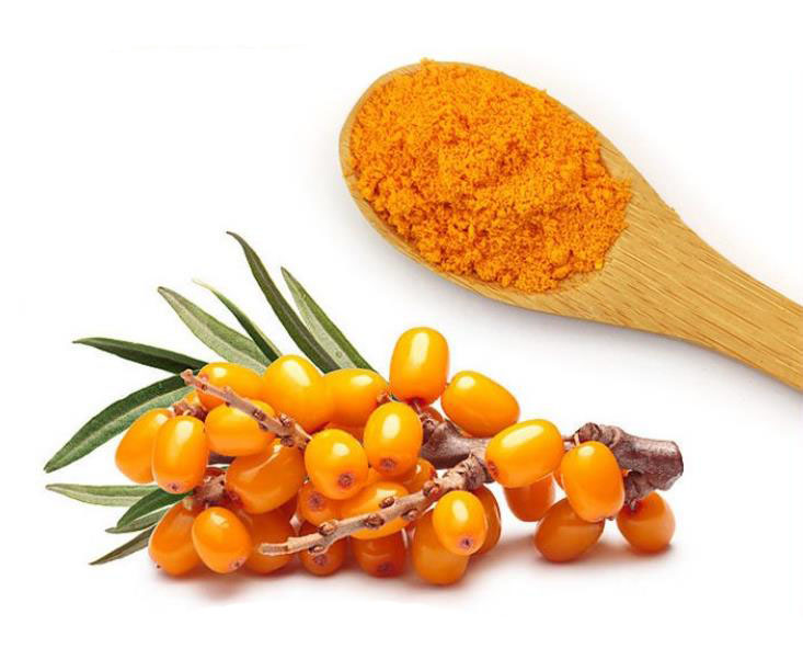 Sea buckthorn, Hippophae rhamnoides, ext.