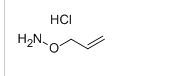 O-ALLYLHYDROXYLAMINE HYDROCHLORIDE