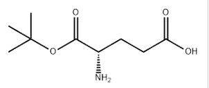 L-Glutamic acid α-tert·butyl ester