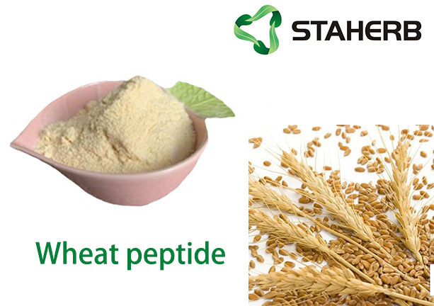 GLUTEN; Wheat peptide