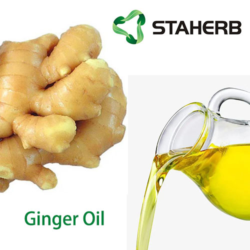 Ginger oil