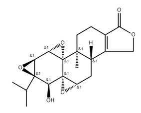 Chiral isomer of triptolide