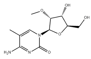 2'-(O-METHYL)-5-METHYLCYTIDINE