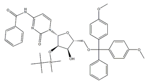 5'-O-DMT-2'-O-TBDMS-N-Bz-Cytidine