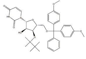 5'-O-(4,4'-DiMethoxytrityl)-3'-O-t-butyldiMethylsilyl uridine