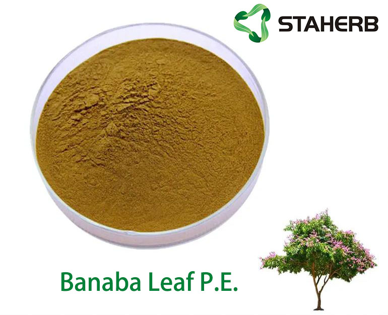 Banaba Leaf P.E.