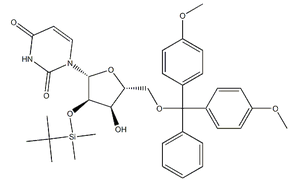 5'-O-DMT-2'-TBDMS-Uridine