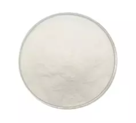 Lactobacillus Bulgaricus