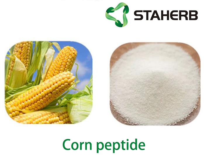 Corn peptide