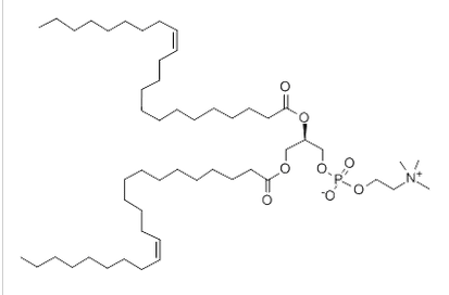 1,2-DI13-CIS-DOCOSENOYL-SN-GLYCERO-3-PHOSPHOCHOLINE