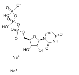 Uridine 5'-triphosphate disodium salt