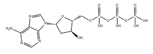 2'-Deoxyadenosine 5'-triphosphate