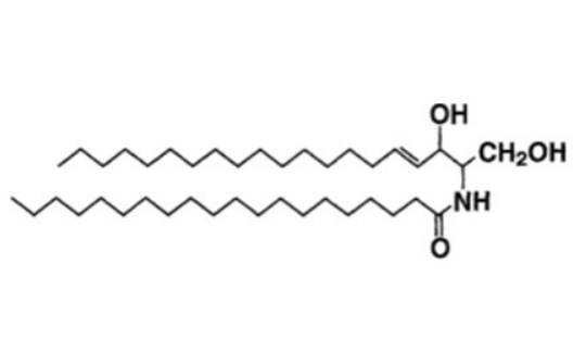 Ceramide