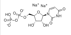 URIDINE 5'-DIPHOSPHORIC ACID SODIUM SALT