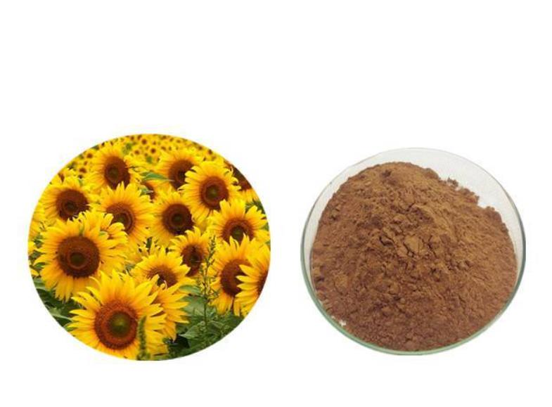 Sunflower extract; Lecithin