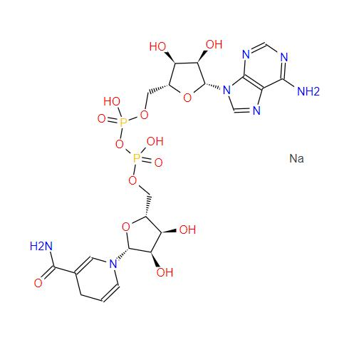 beta-Nicotinamide adenine dinucleotide disodium salt