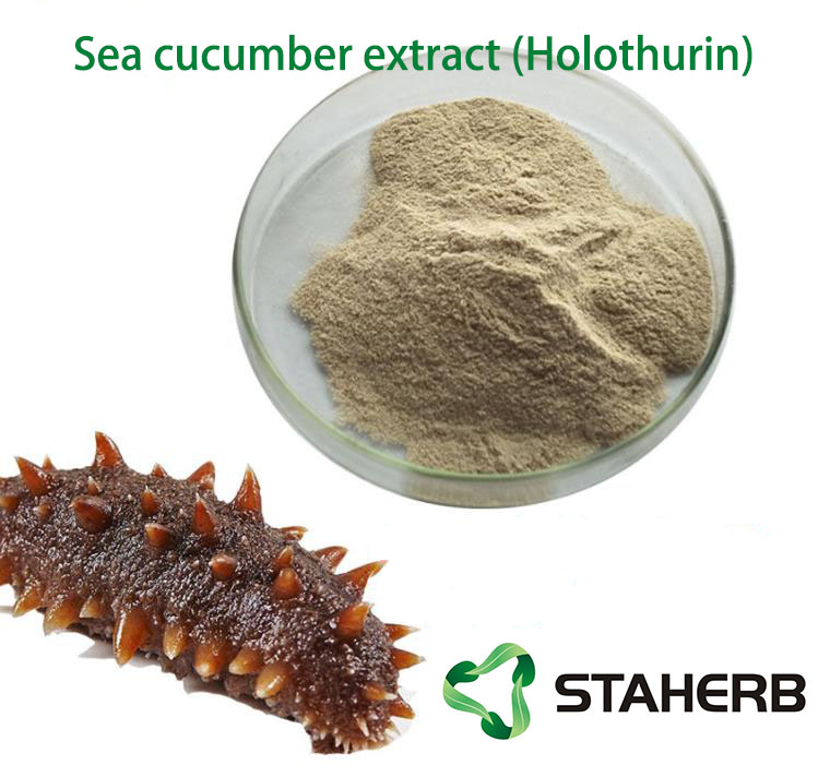 Sea cucumber extract (Holothurin)