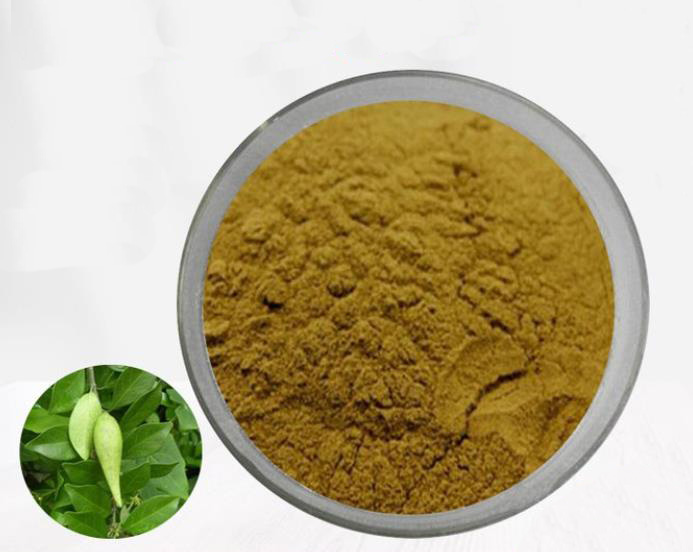 Gymnema sylvestre extract