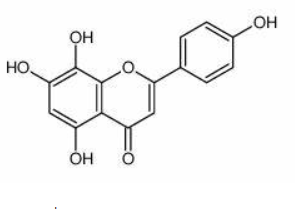 Apigenin 