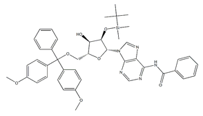 5'-O-DMT-2'-O-TBDMS-N-Bz-Adenosine