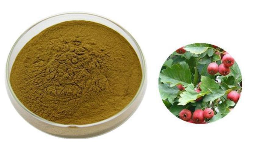 Hawthorn leaf extract flavonoids