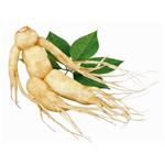 (20S)-Protopanaxatriol APPT；Panax Ginseng extract 