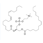 Sunflower Lecithin