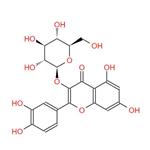 Isoquercitrin