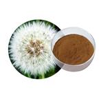 Dandelion extract flavonoids