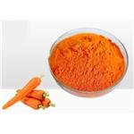 7235-40-7 Beta-Carotene; Carrot extract