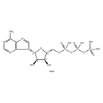 Adenosine 5’-triphosphate disodium salt