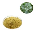 Marrubium Vulgare Extract